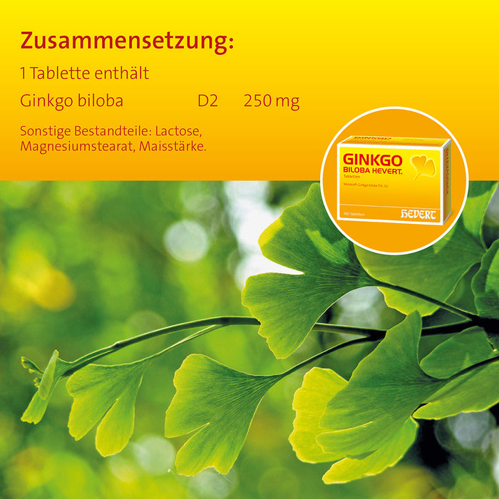 Ginkgo biloba Hevert mit einem Auszug aus erntefrischen Ginkgoblättern, 100 St. Tabletten