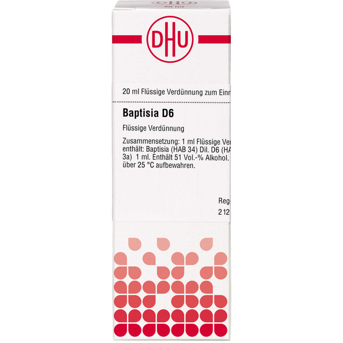 Baptisia D6 DHU Dilution, 20 ml Lösung