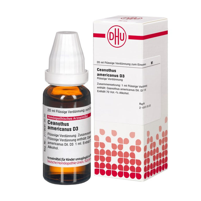 Ceanothus americanus D3 DHU Dilution, 20 ml Lösung