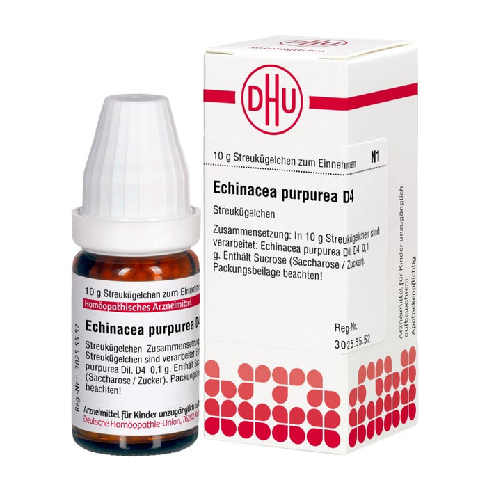 DHU Echinacea purpurea D4 Streukügelchen, 10 g Globules