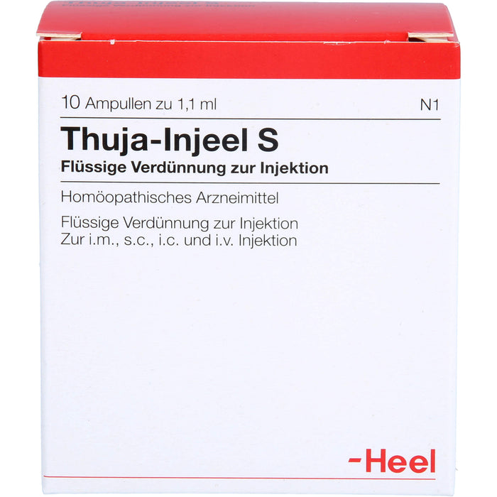 Thuja-Injeel S flüssige Verdünnung, 10 pcs. Ampoules