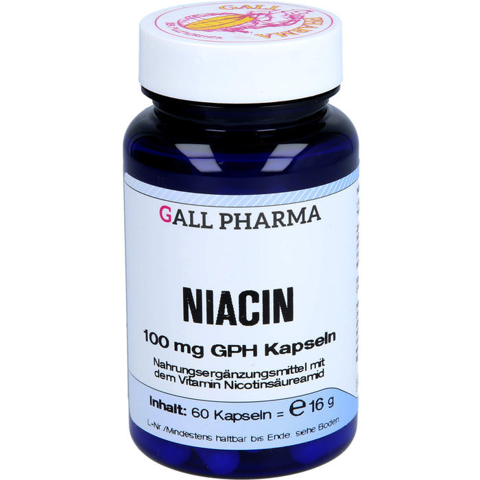 GALL PHARMA Niacin 100 mg GPH Kapseln, 60 pc Capsules