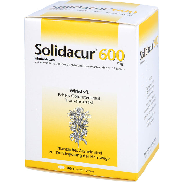 Solidacur 600 mg Filmtabletten zur Durchspülung der Harnwege, 100 pc Tablettes