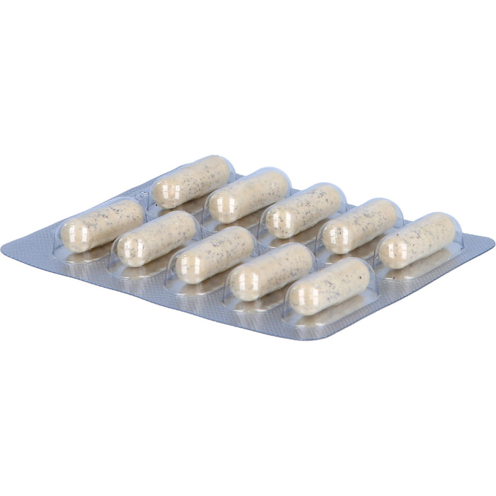 Unizink Immun Plus Kapseln, 90 pc Capsules