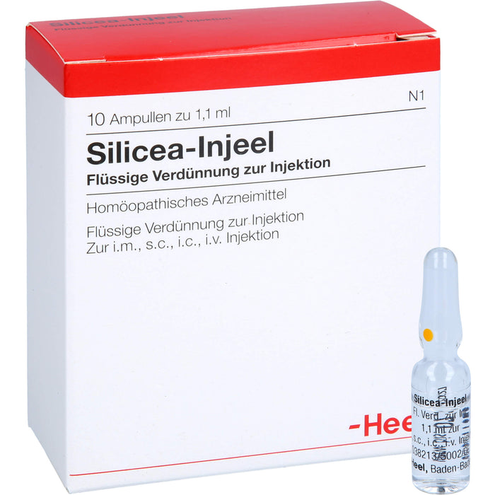 Heel Silicea-Injeel flüssige Verdünnung zur Injektion, 10 St. Ampullen