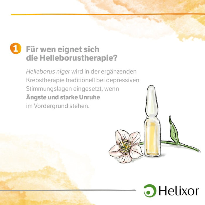 Helleborus niger D5 aquos., 8 pcs. Ampoules