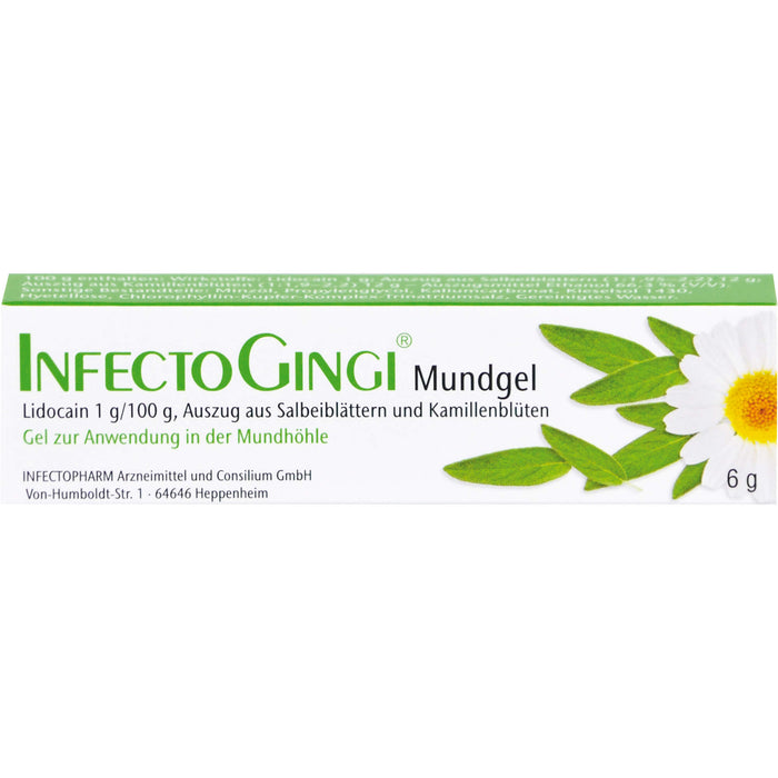 INFECTOGINGI Mundgel bei Entzündungen und Wunden, 6 g Gel