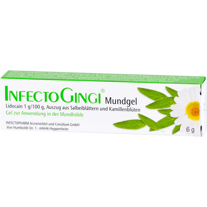 INFECTOGINGI Mundgel bei Entzündungen und Wunden, 6 g Gel