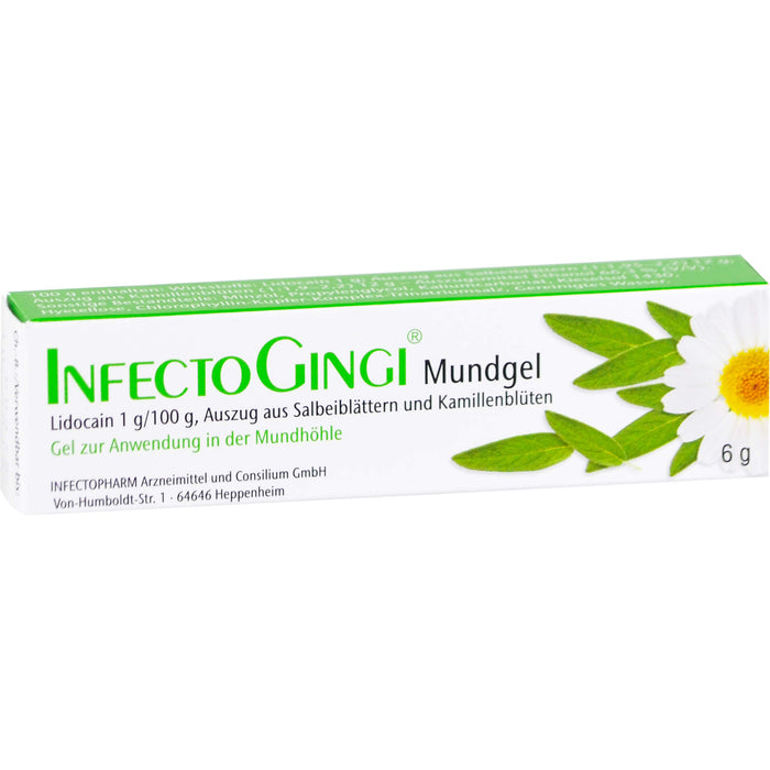 INFECTOGINGI Mundgel bei Entzündungen und Wunden, 6 g Gel