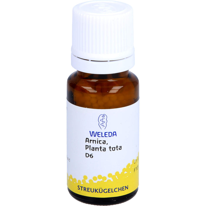 Arnica planta tota D6 Weleda Globuli, 10 g GLO