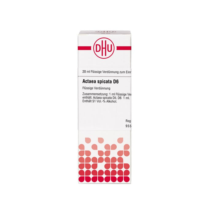 Actaea spicata D6 DHU Dilution, 20 ml Lösung