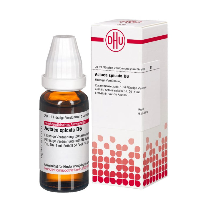 Actaea spicata D6 DHU Dilution, 20 ml Lösung