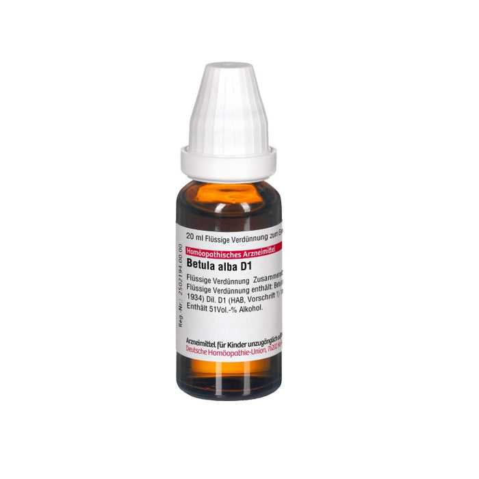 DHU Betula alba D1 Dilution, 20 ml Lösung