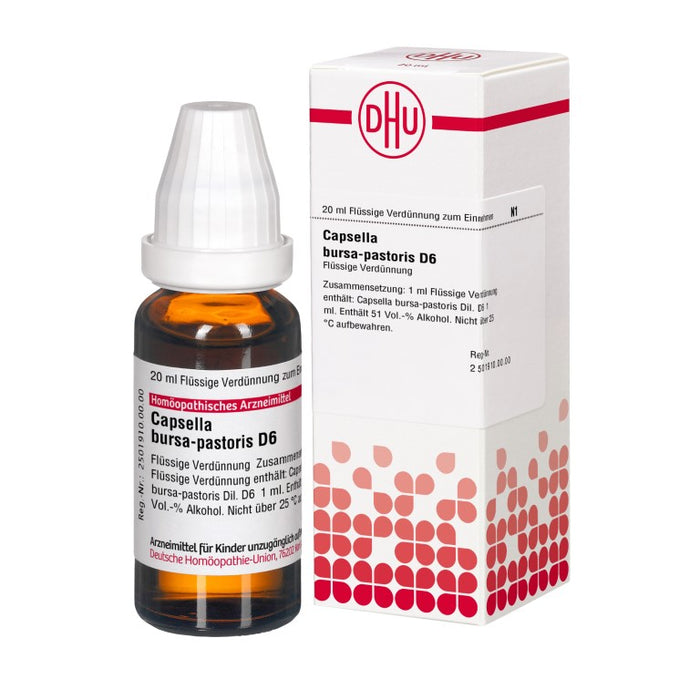 Capsella bursa-pastoris D6 DHU Dilution, 20 ml Lösung