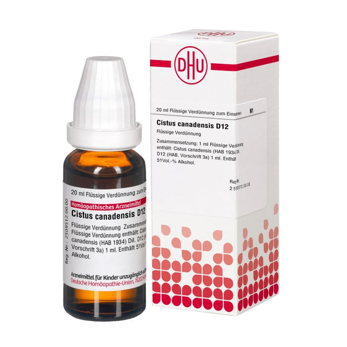 DHU Cistus canadensis D12 Dilution, 20 ml Lösung