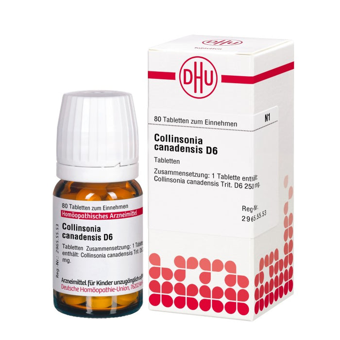 Collinsonia canadensis D6 DHU Tabletten, 80 St. Tabletten