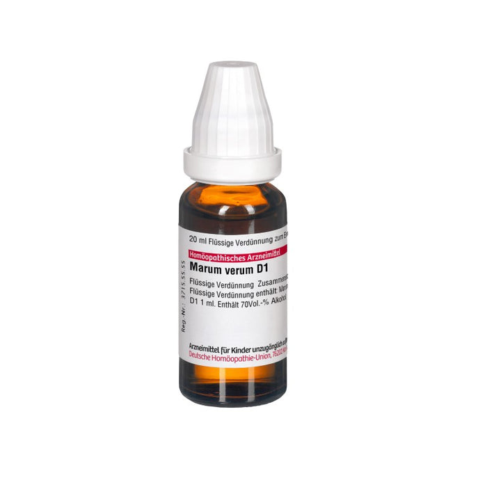 Marum verum D1 DHU Dilution, 20 ml Lösung