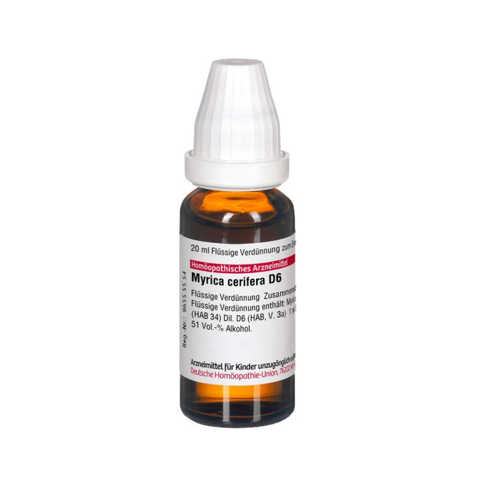 DHU Myrica Cerifera D6 Dilution, 20 ml Lösung