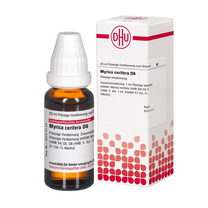 DHU Myrica Cerifera D6 Dilution, 20 ml Lösung