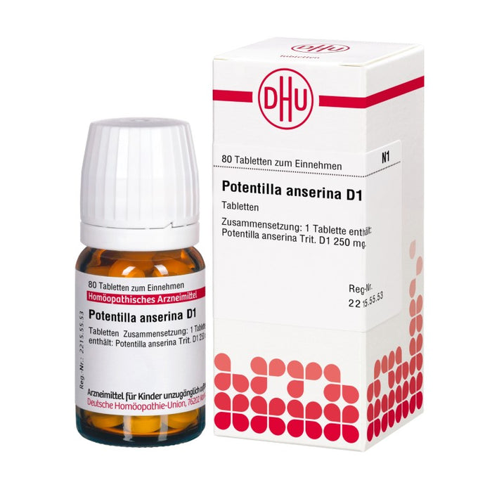 DHU Potentilla anserina D1 Tabletten, 80 St. Tabletten