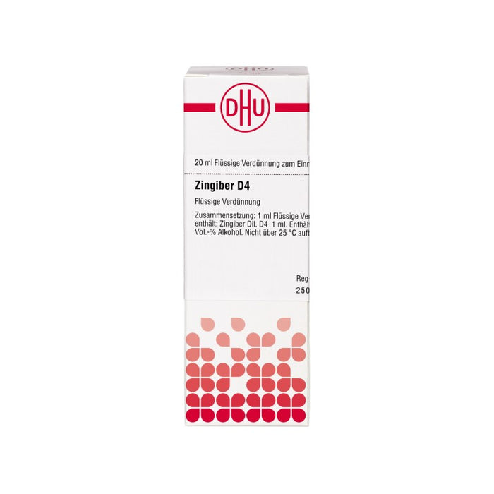 DHU Zingiber D4 Dilution, 20 ml Lösung