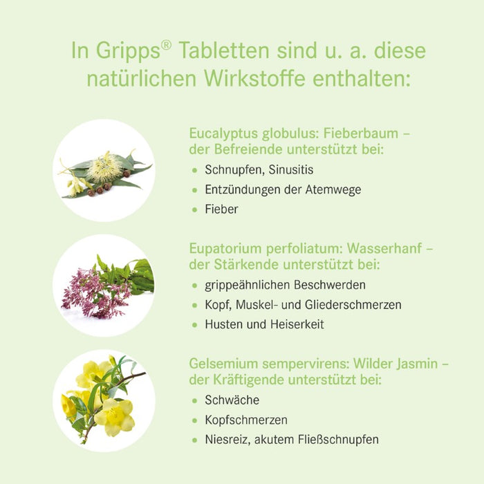 Gripps Tabletten, 100 St TAB