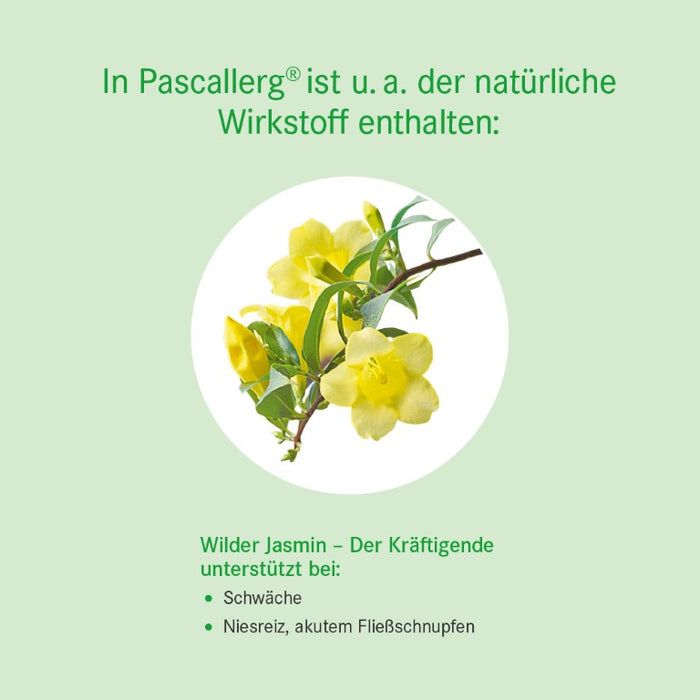 Pascallerg Tabletten  bei Erkrankungen der Atemwege, 100 pcs. Tablets