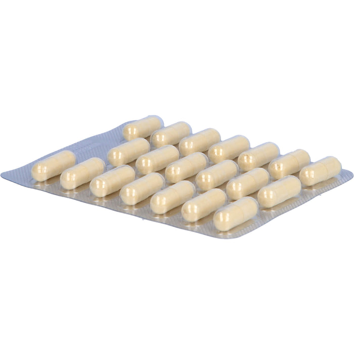 SANUM-KEHLBECK Silvaysan Hartkapseln bei Lebererkrankungen, 100 pcs. Capsules