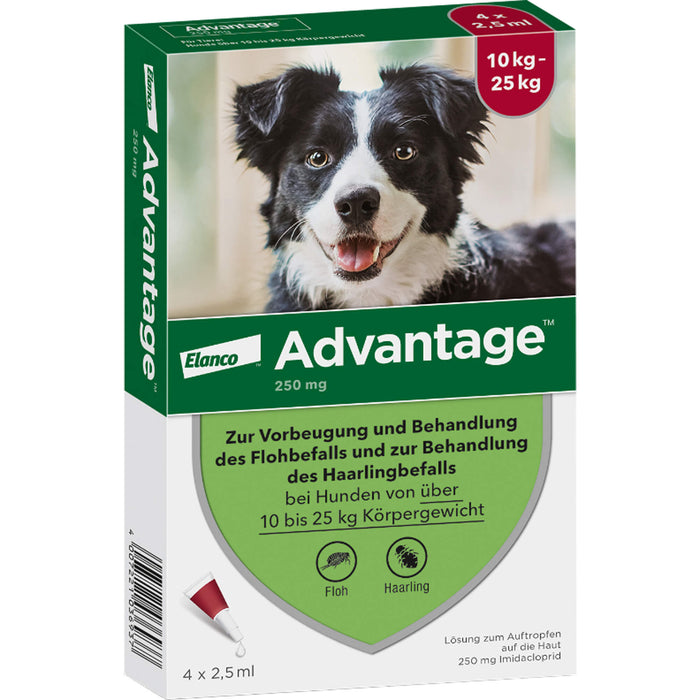 Advantage 250 mg Lösung zum Auftropfen bei Hunden, 4 pcs. Ampoules