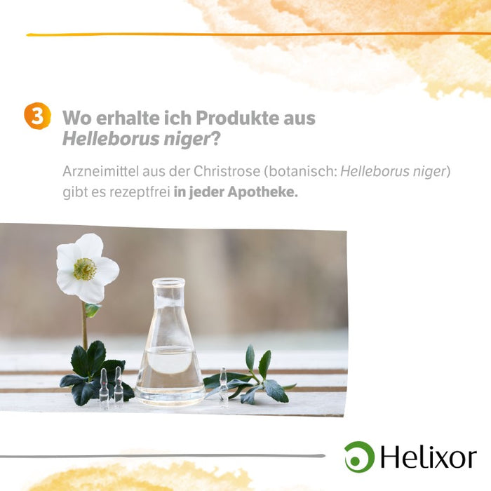 Helleborus niger D 4 aquos., 50 pc Ampoules