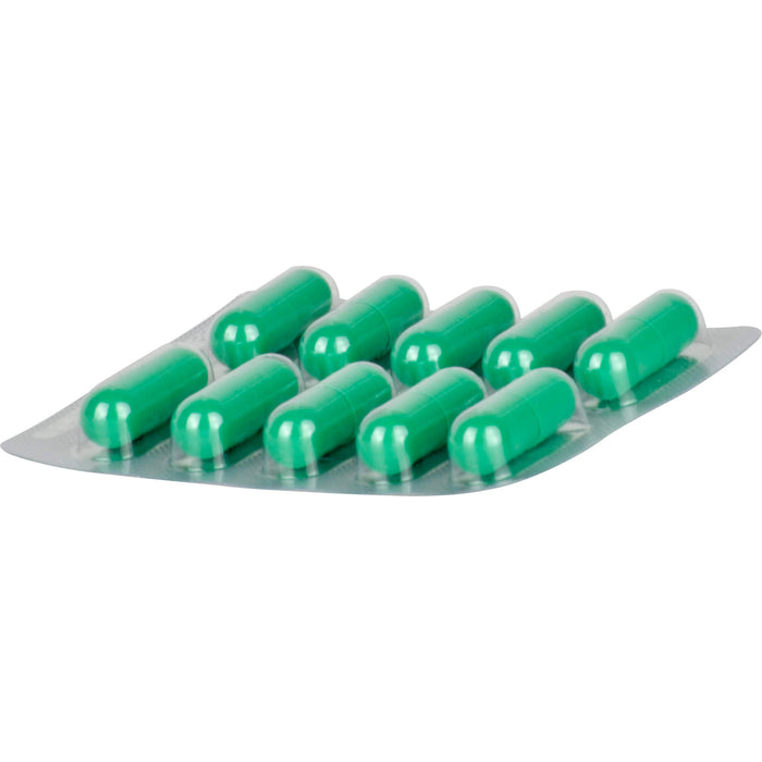 Hepar-SL 320 mg Kapseln, 100 pc Capsules