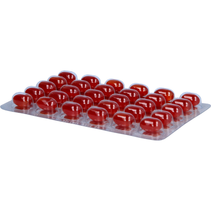 Femisanit Kapseln, 60 pc Capsules