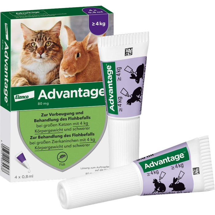 Advantage 80 mg für Katzen und Zierkaninchen über 4 kg Lösung, 3.2 ml Lösung