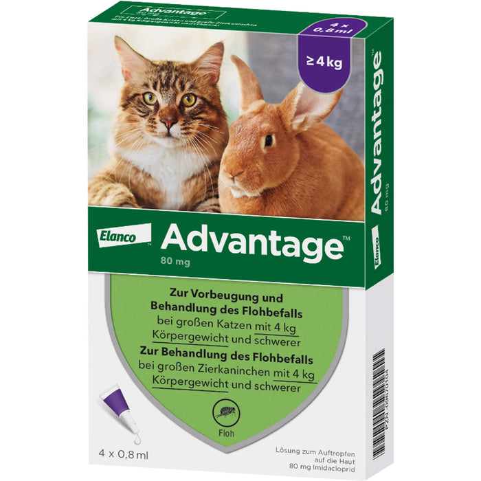 Advantage 80 mg für Katzen und Zierkaninchen über 4 kg Lösung, 3.2 ml Solution