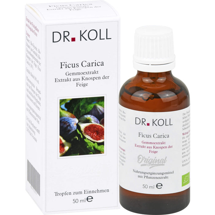 DR. KOLL Ficus Carica Gemmoextrakt Tropfen, 50 ml Lösung