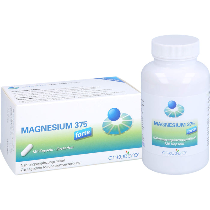 Magnesium 375 Forte, 120 St KAP