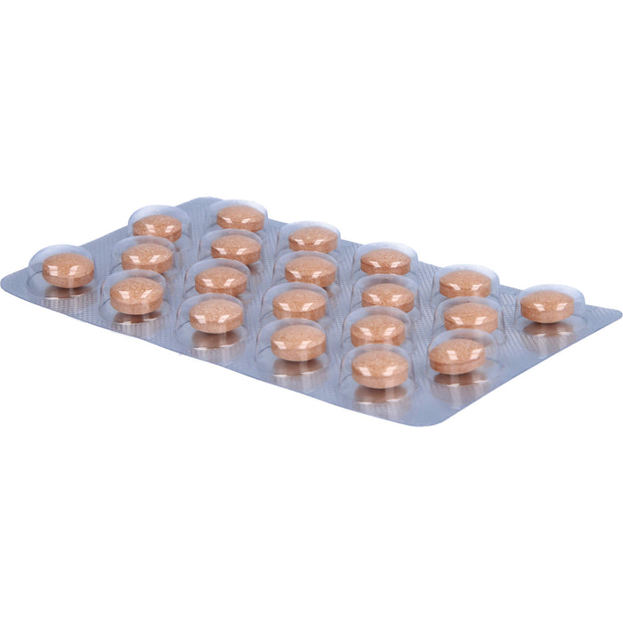 SanFerin Tabletten  stärkt auf natürliche Weise das Immunsystem und unterstützt bei der Abwehr von Bakterien, Viren und Pilzen, 40 pcs. Tablets