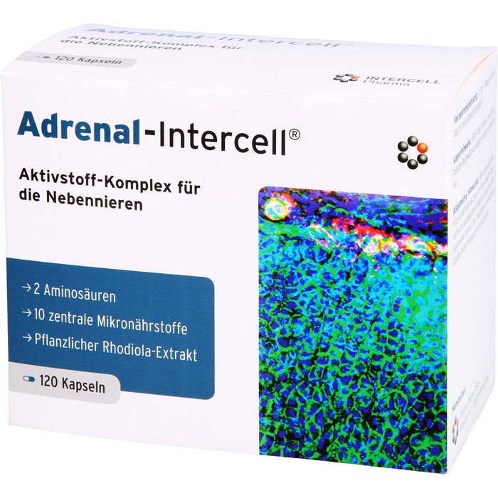 Adrenal-Intercell Aktiv-Komplex für die Nebennieren Kapseln, 120 pcs. Capsules