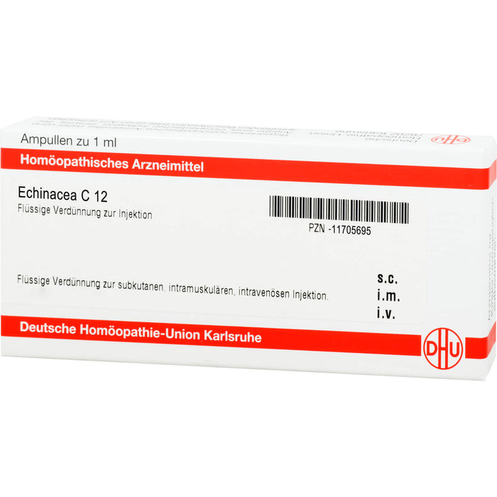 Echinacea HAB C12 DHU Ampullen, 8 St. Ampullen