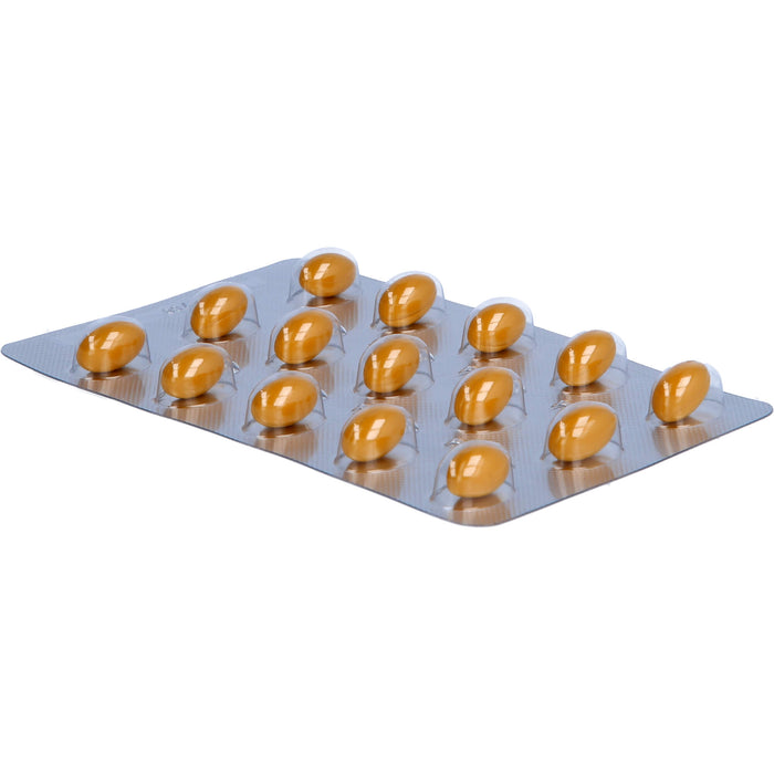 Pylosan Kapseln, 30 pc Capsules