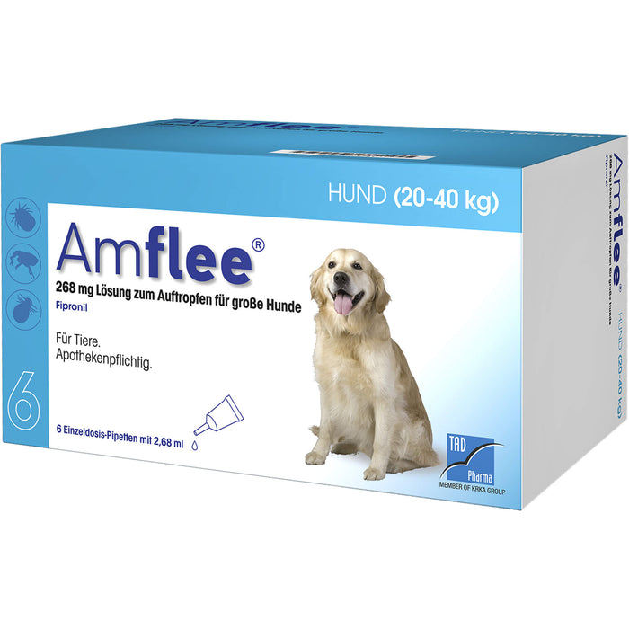 Amflee 268 mg Lösung zum Auftropfen für Hunde 20 - 40 kg, 6 pcs. Ampoules