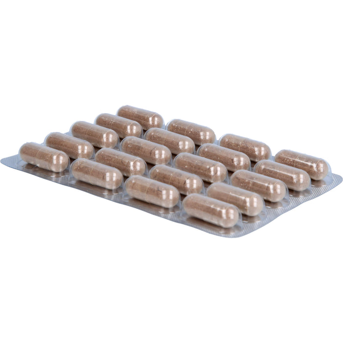 Cherry PLUS - Das Original Silence Kapseln, 60 pc Capsules