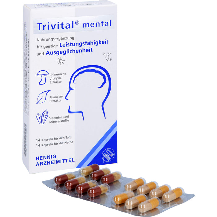 Trivital mental, 28 St KAP