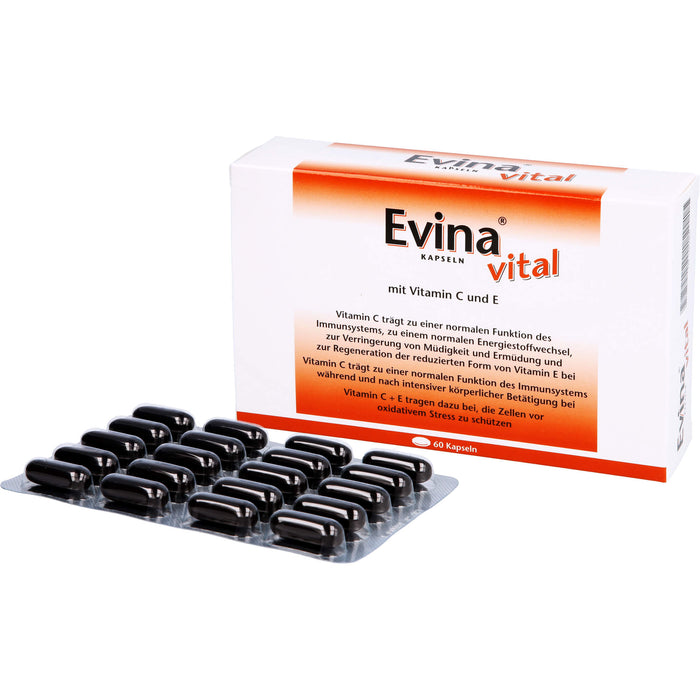 Evina vital, 60 St KAP