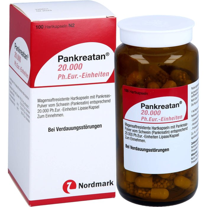 Pankreatan 20.000 Ph.Eur.-Einheiten Hartkapseln, 100 pc Capsules