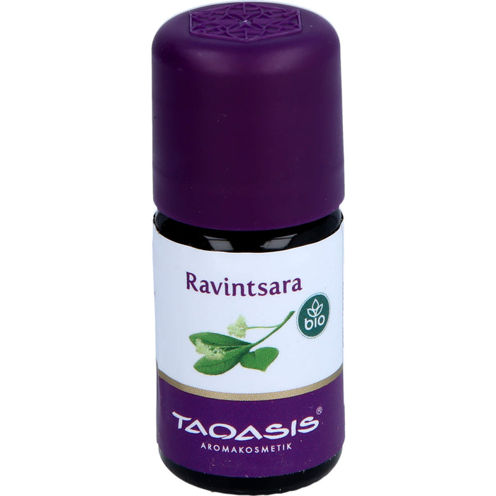 Ravintsara BIO, 5 ml AEO