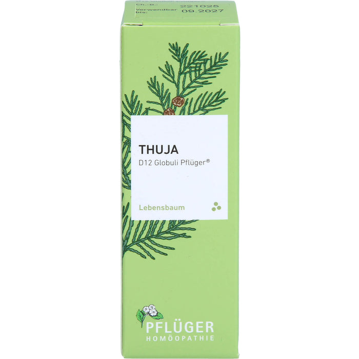 Thuja D12 Globuli Pflüger Dosierspender, 10 g GLO