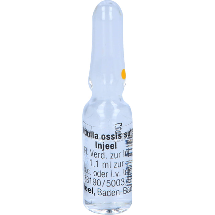 Heel Medulla ossis suis-Injeel flüssige Verdünnung zur Injektion, 10 pcs. Ampoules