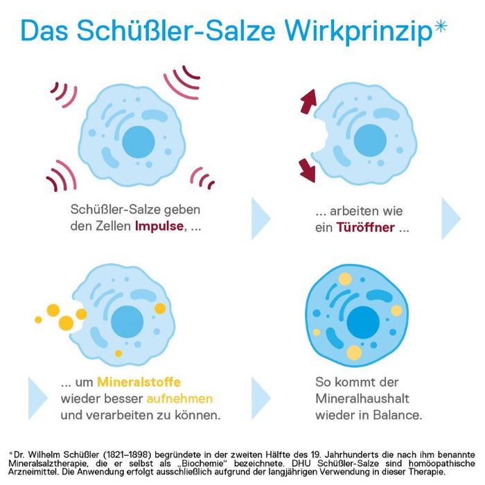 DHU Schüßler-Salz Nr. 6 Kalium sulfuricum D12 – Das Mineralsalz der Entschlackung – das Original – umweltfreundlich im Arzneiglas, 420 pc Tablettes