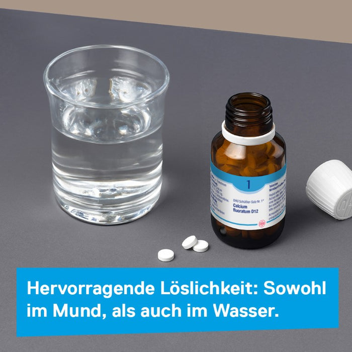 DHU Schüßler-Salz Nr. 1 Calcium fluoratum D6 – Das Mineralsalz des Bindegewebes, der Gelenke und Haut – das Original – umweltfreundlich im Arzneiglas, 80 St. Tabletten